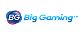 BigGaming Logo